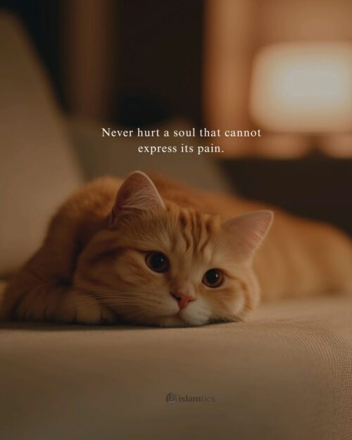 Never hurt a soul that cannot express its pain.