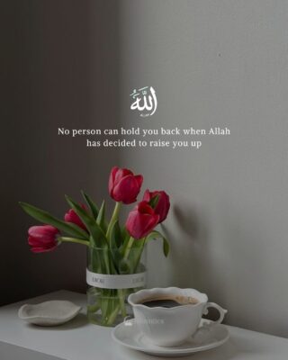 No person can hold you back when Allah has decided to raise you up