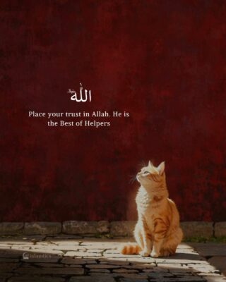 Place your trust in Allah. He is the Best of Helpers