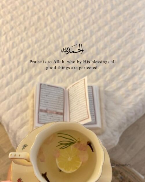 Praise is to Allah, who by His blessings all good things are perfected.