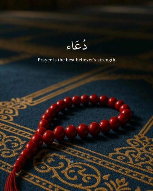 Prayer is the best believer's strength