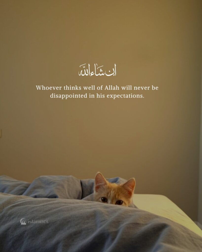 Whoever thinks well of Allah will never be disappointed in his expectations.