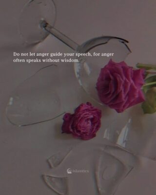 Do not let anger guide your speech, for anger often speaks without wisdom.