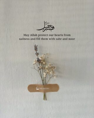 May Allah protect our hearts from sadness and fill them with sabr and noor