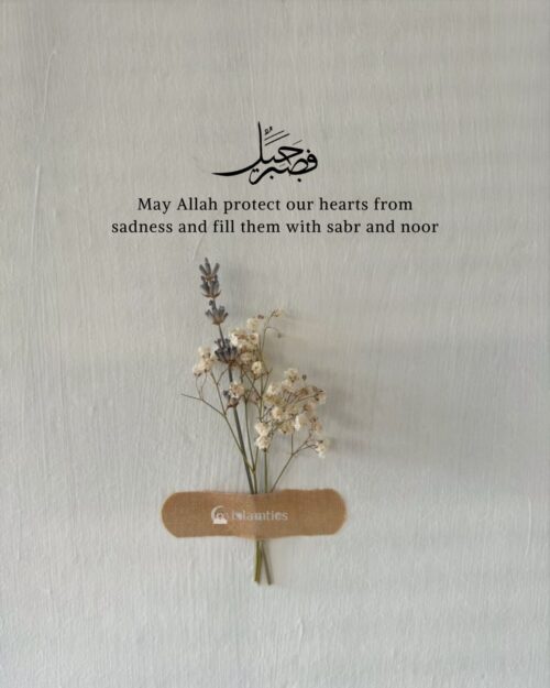 May Allah protect our hearts from sadness and fill them with sabr and noor