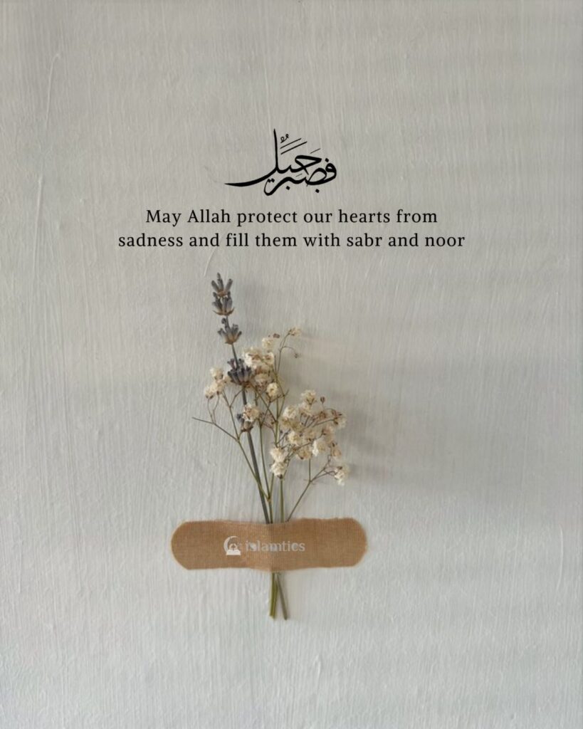 May Allah protect our hearts from sadness and fill them with sabr and noor